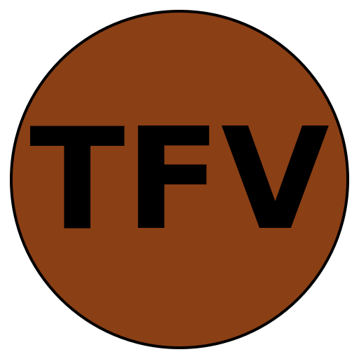 TrustFit Vision